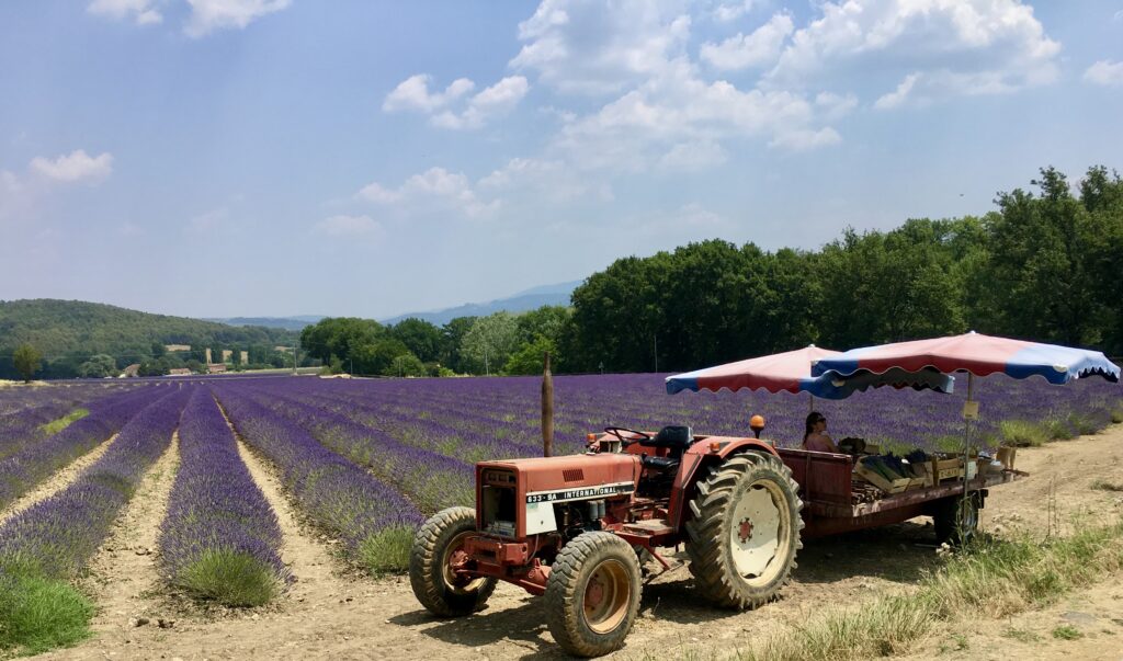 dialysis-france-provence